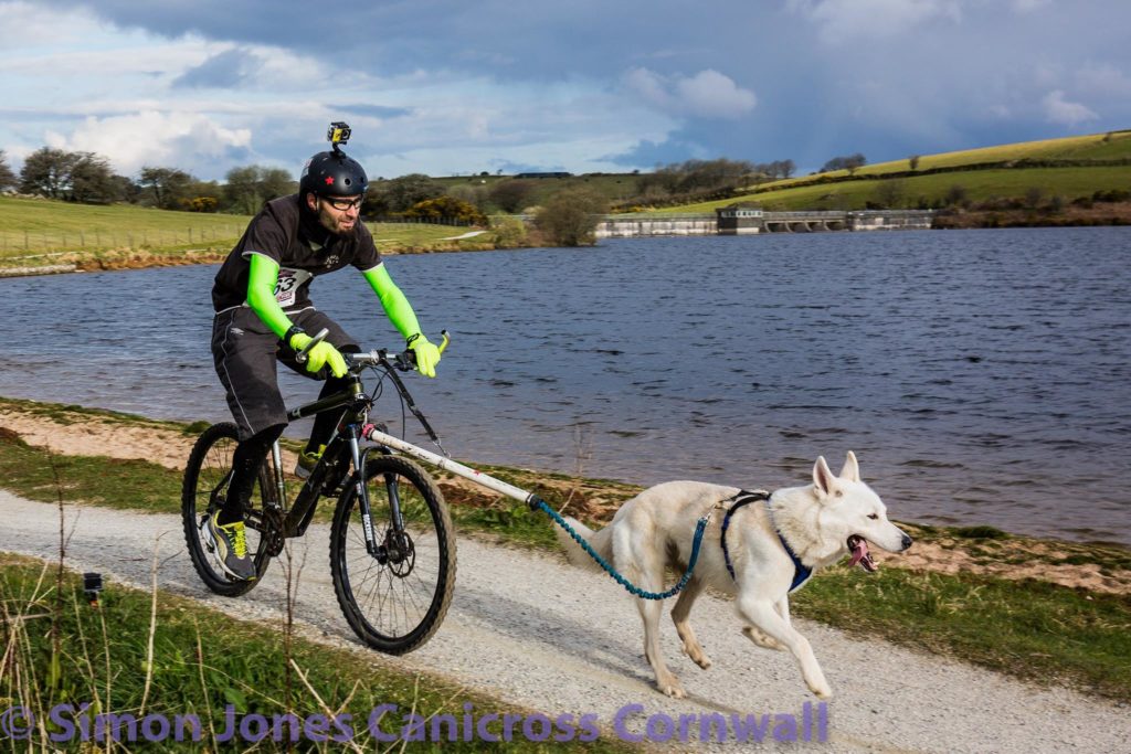 Siblyback Lake Sun 2